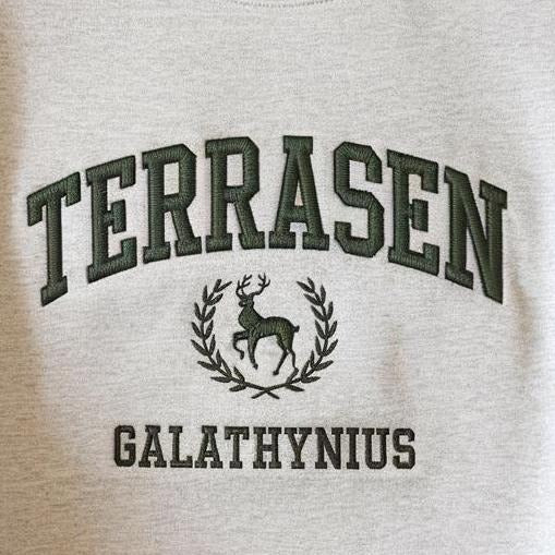 Terrasen Embroidered Sweatshirt, Terrasen Sweater, Throne of Glass Sweater, Shirt for the Rhysand Fan, ACOTAR Merch, Aelin Galathynius, TOG VEMB52
