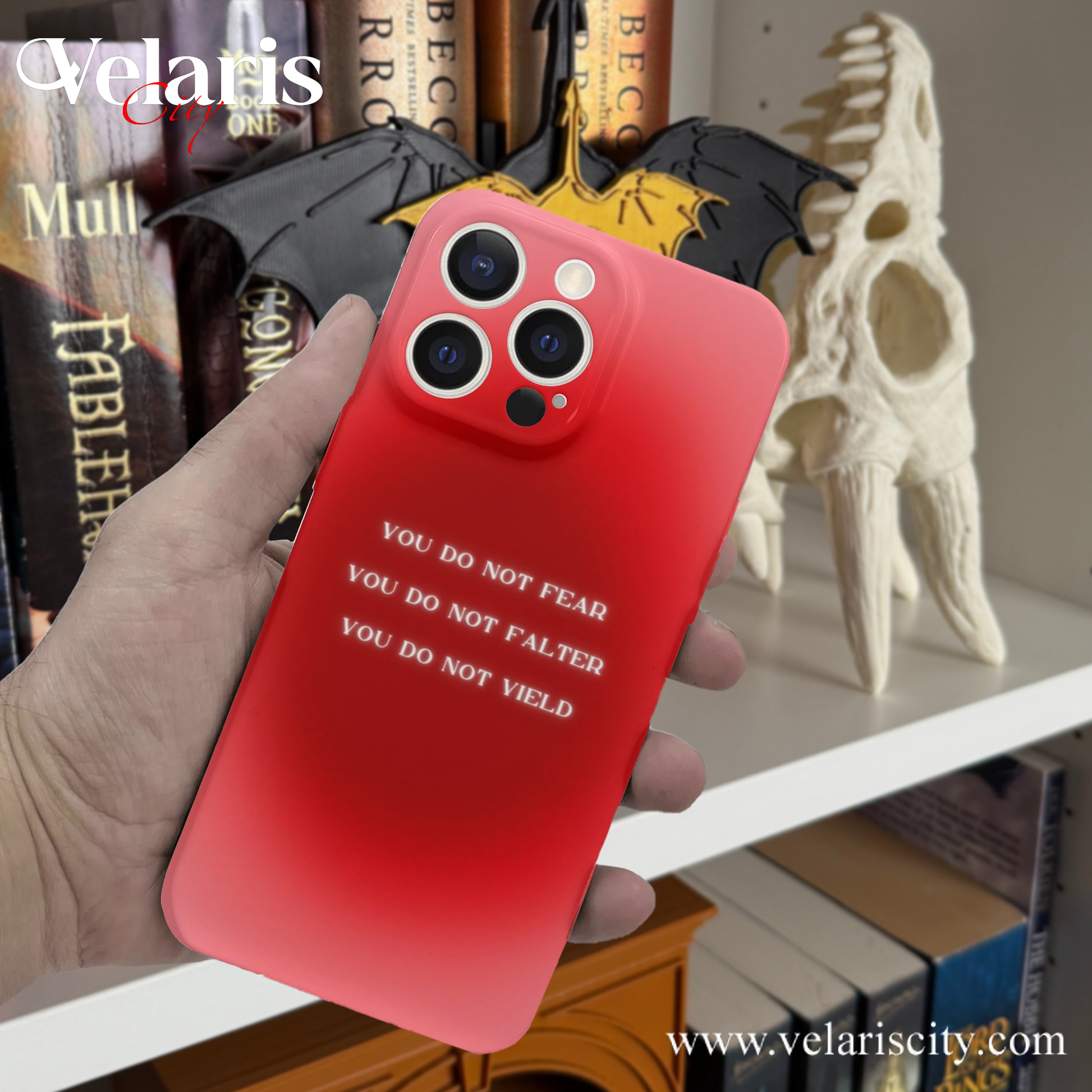 A Court of Wings and Ruin Inspried Design Phone Case, ACOWAR Inspired Phone Case, Fantasy Novel iPhone Cover, Book Lover Gift PCVLR63