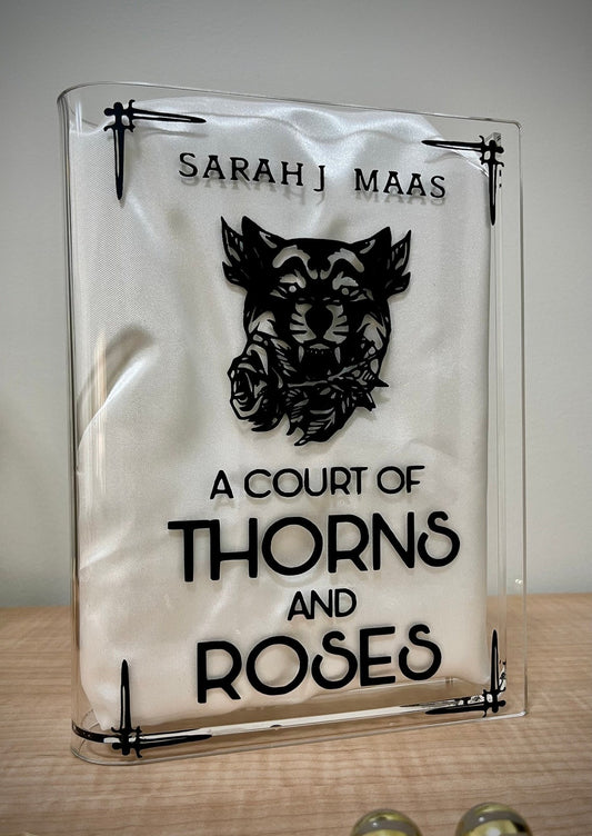 ACOTAR A Court of Thorns and Roses Acrylic Book Vase, Velaris Acrylic Flower Vase, Book Lover Gift, Gifts For Book Lover, VLRBV09