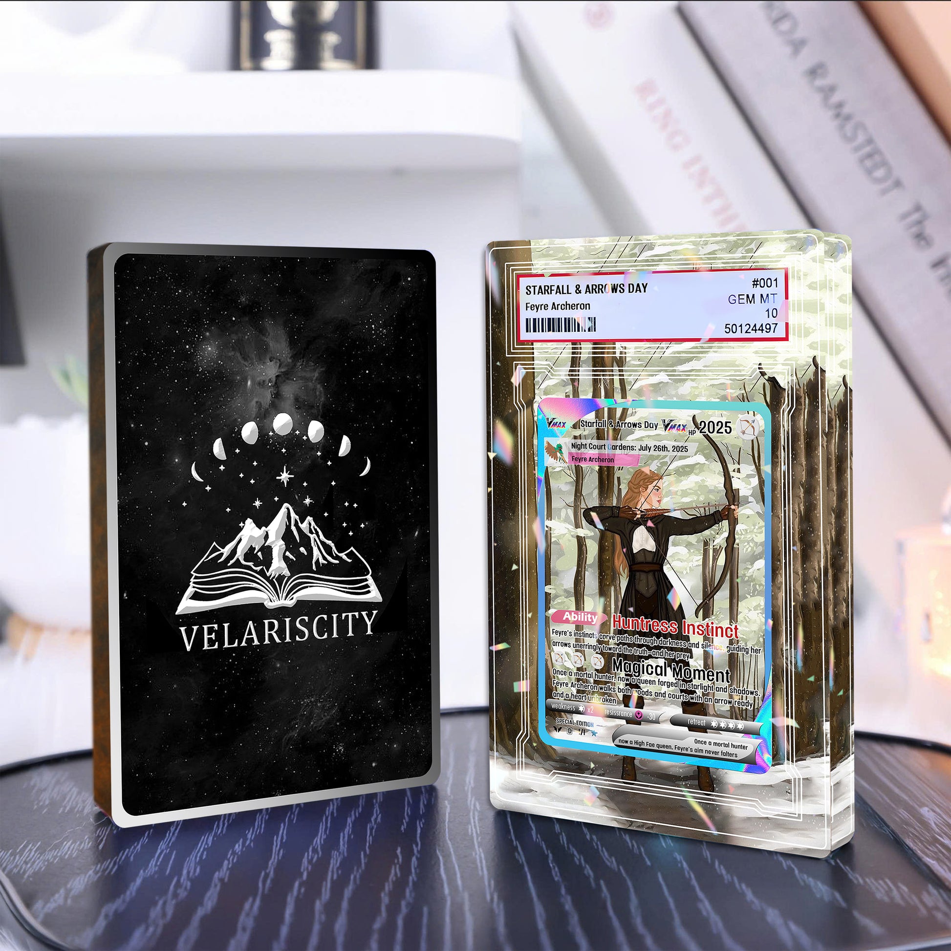 Feyre Archeron Acrylic Block, ACOTAR Acrylic Block, Starfall & Arrows Day Gift, Night Court Fantasy Decor for Book Lovers ABVLR13