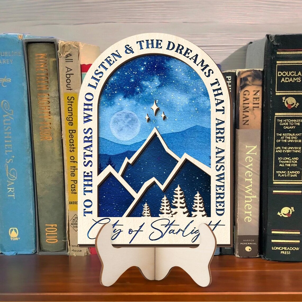 City of Starlight Bookshelf Sign, ACOTAR Wooden Shelf Decor, The Stars Who Listen Quote, Night Court Aesthetic, Spicy BookTok Smut Reader Sign BTVLR50