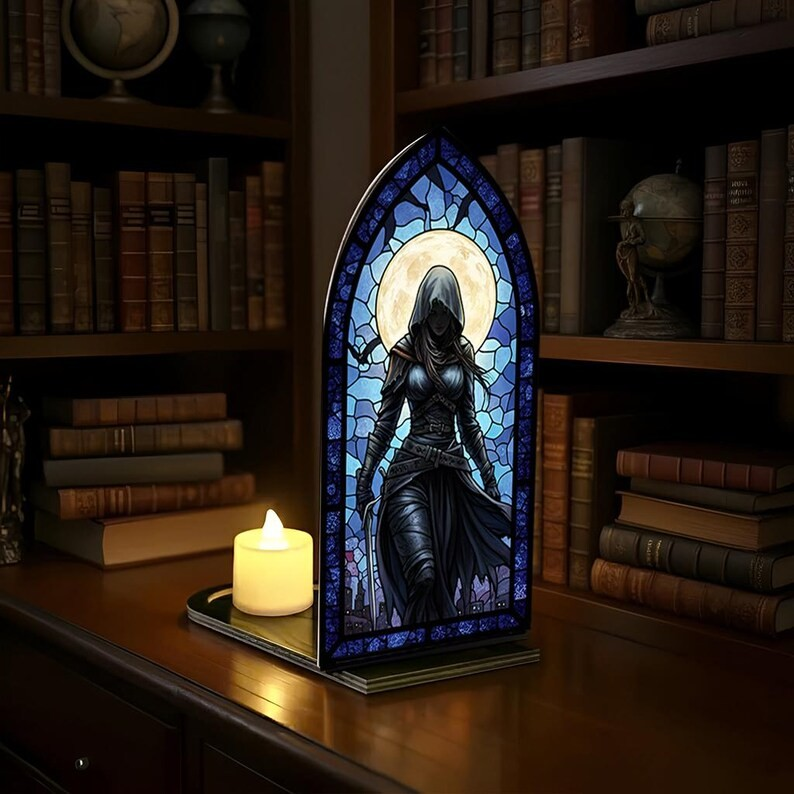 Celaena Sardothien Book Nook, Throne of Glass Inspired Bookshelf Insert, Assassin Fantasy Decor, Bookish Gift BNVLR40