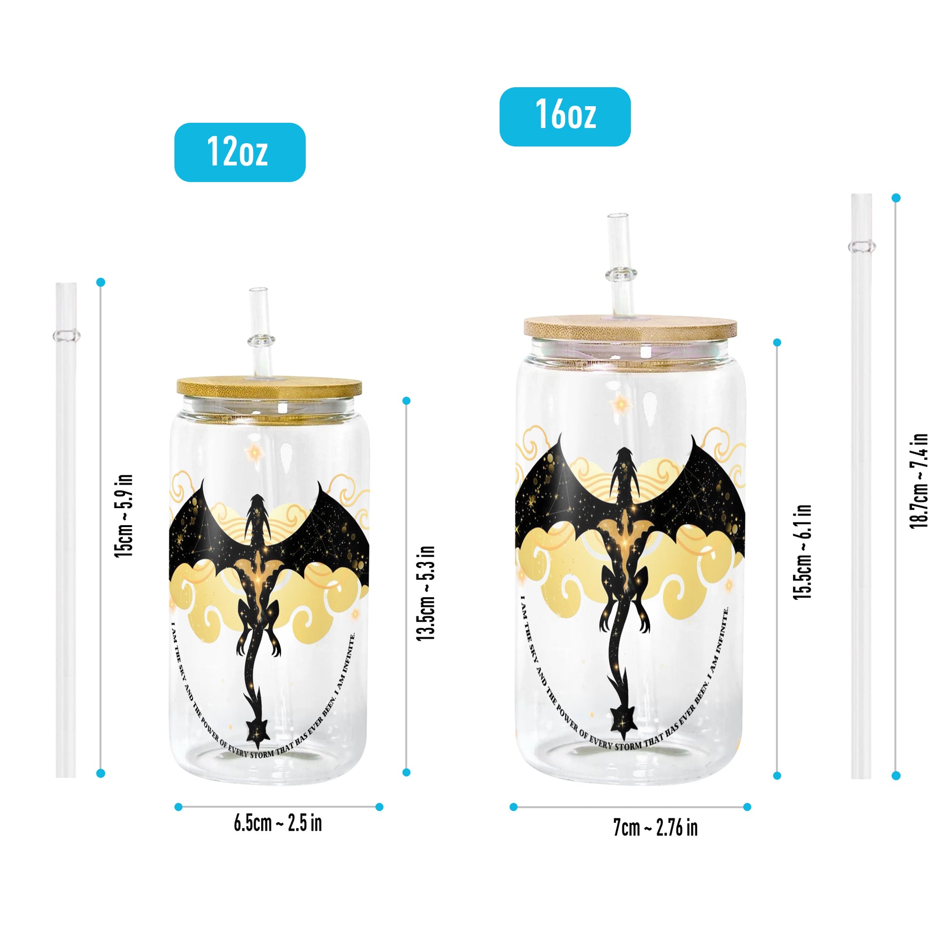 Fourth Wing Dragon Glass Can Cup with Straw, Xaden Riorson Storm Quote Tumbler, Empyrean Bookish Gift GLVLR37