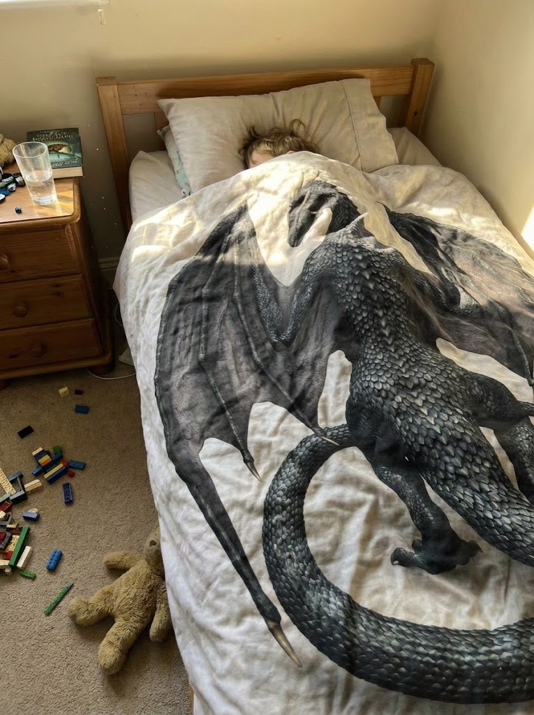 Tairn Dragon Fleece Blanket, Majestic Black Dragon Design, Inspired by Fourth Wing Fantasy Serie BLK03