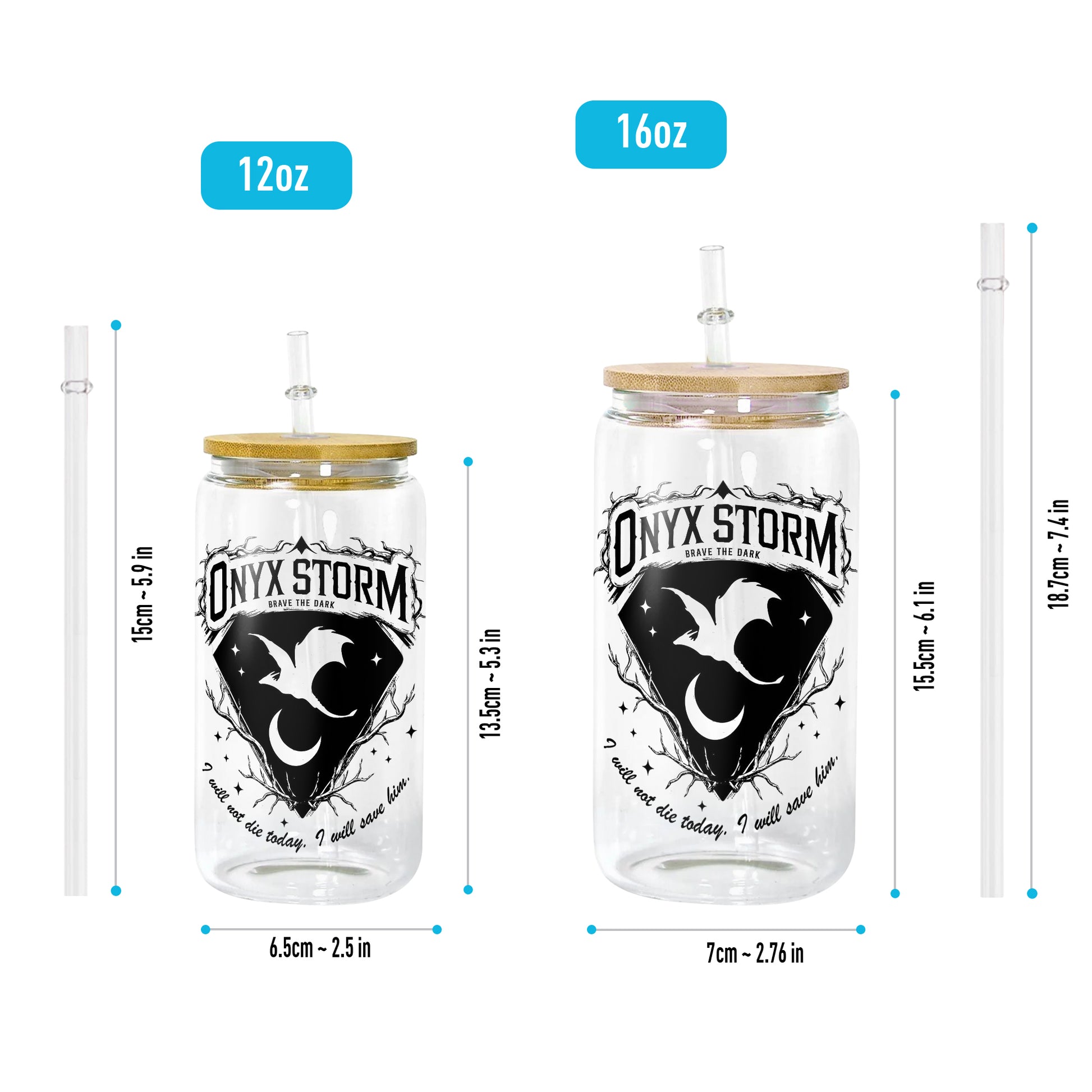Onyx Storm Glass Can Cup with Straw, Fourth Wing Empyrean Dragon Tumbler, Rebecca Yarros Bookish Gift GLVLR38