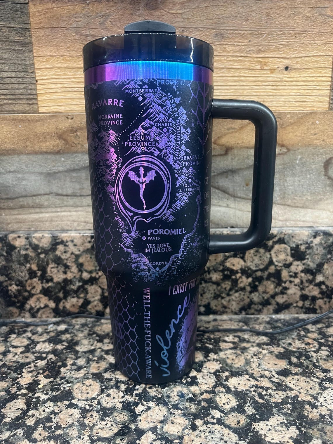 Onyx Storm Book Tumbler 30oz/40oz, Brave The Storm Tumbler, The Empyrean Tumbler. VLR41