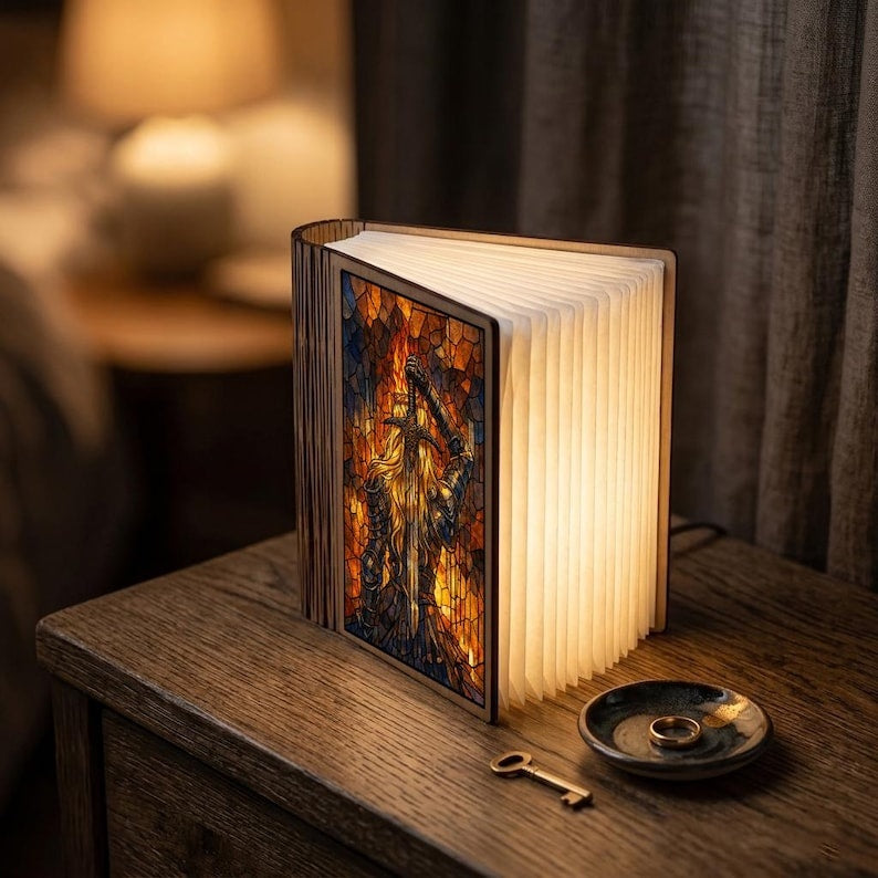 Aelin Throne Of Glass Book Lamp, Throne of Glass Fantasy Night Light, Fire Queen Reader Gift, Bookish Decor for Fans, Reading Nook Lamp BLVLR05