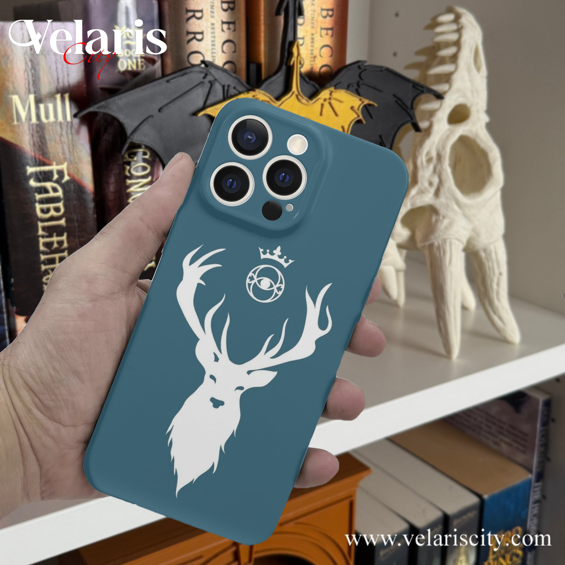 Throne Of Glass Phone Case Fantasy Book Kingdom, TOG Inspired Protective Cover, Fantasy Novel iPhone Cover, Book Lover Gift PCVLR53
