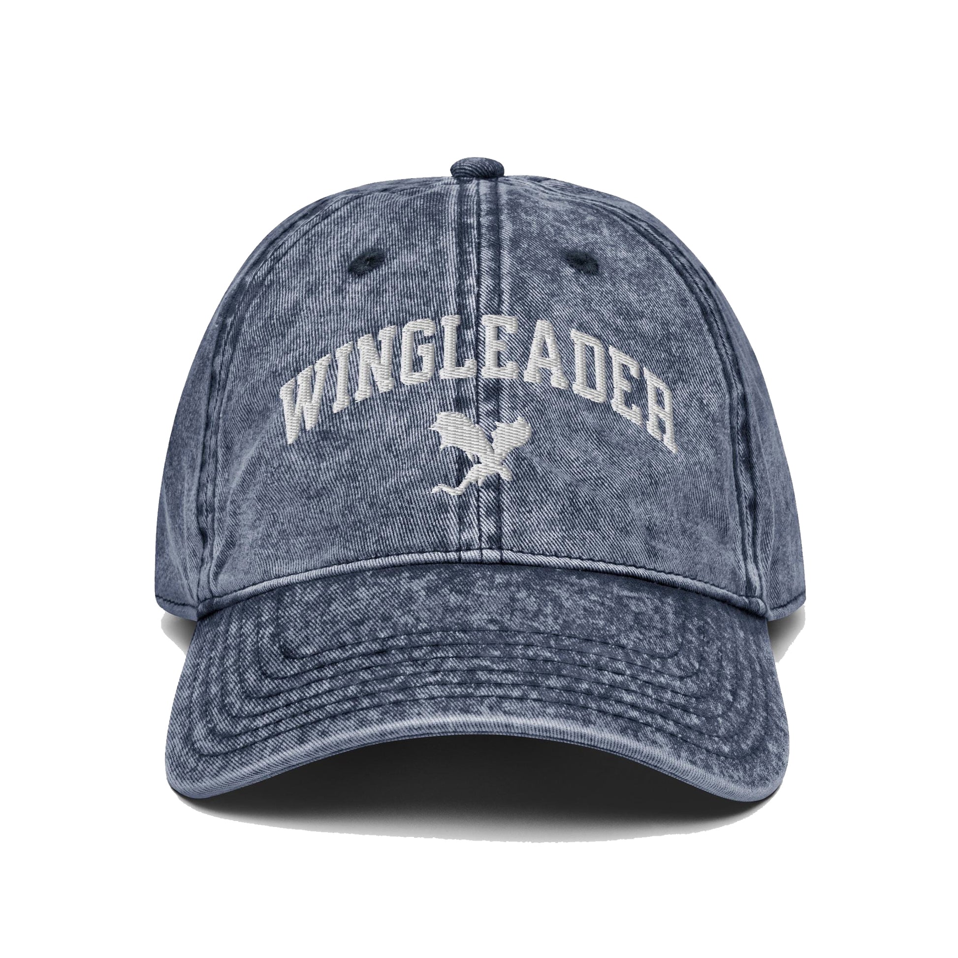 Fourth Wing Dragon Rider Embroidered Hat, Wingleader Bookish Cap, Romantasy Baseball Hat, Reader Gift for Fourth Wing Fans VLRH10