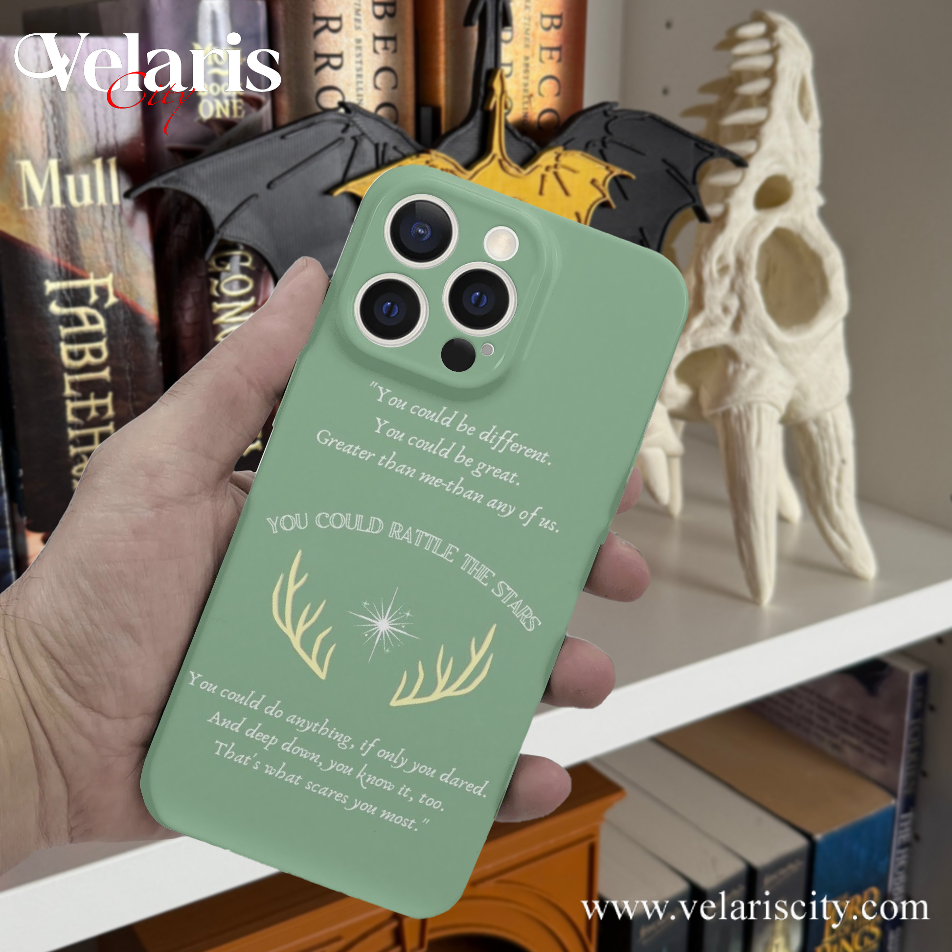 Throne Of  Glass Inspried Design Phone Case, TOG Inspired Phone Case, Fantasy Novel iPhone Cover, Book Lover Gift PCVLR64