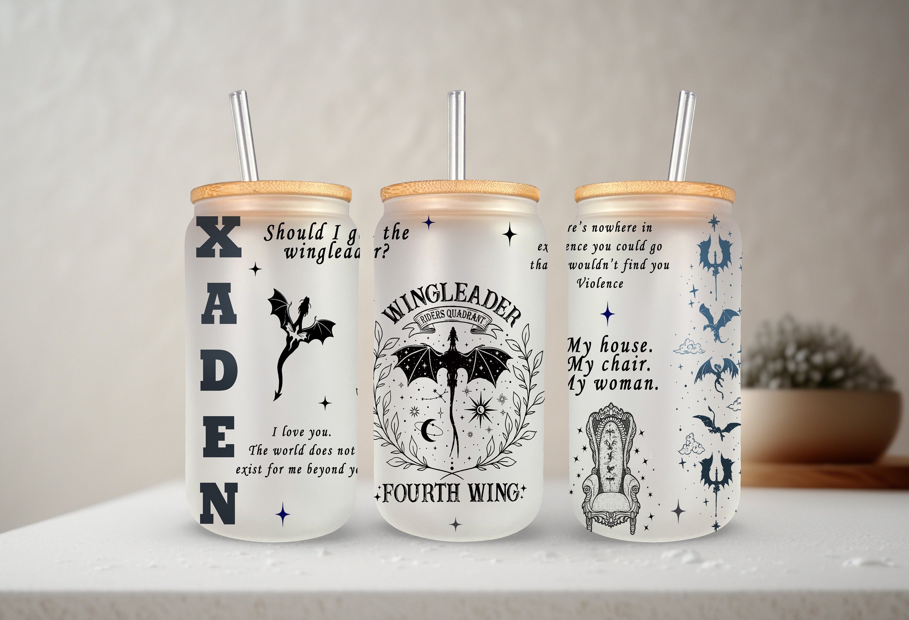 Xaden Fourth Wing Glass Tumbler, Wingleader Rider Quadrant Iced Coffee Cup, Fantasy Book Quote Glass, Violet & Xaden Fan Gift, SJM Reader Mug GLVLR08