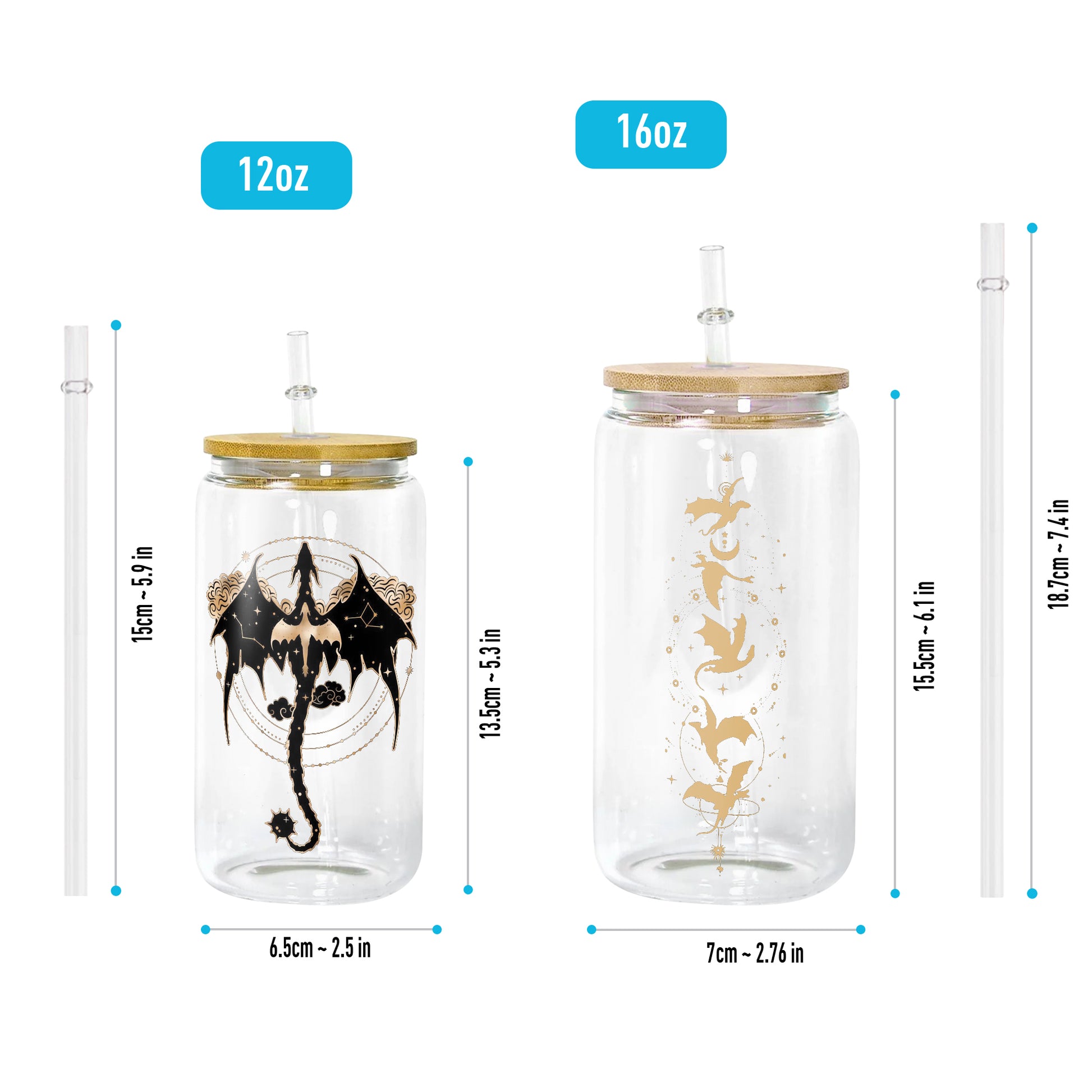 Fourth Wing Dragon Glass Can Cup with Straw, Empyrean Fantasy Tumbler, Bookish Gift for Readers & Dragon Lovers GLVLR45