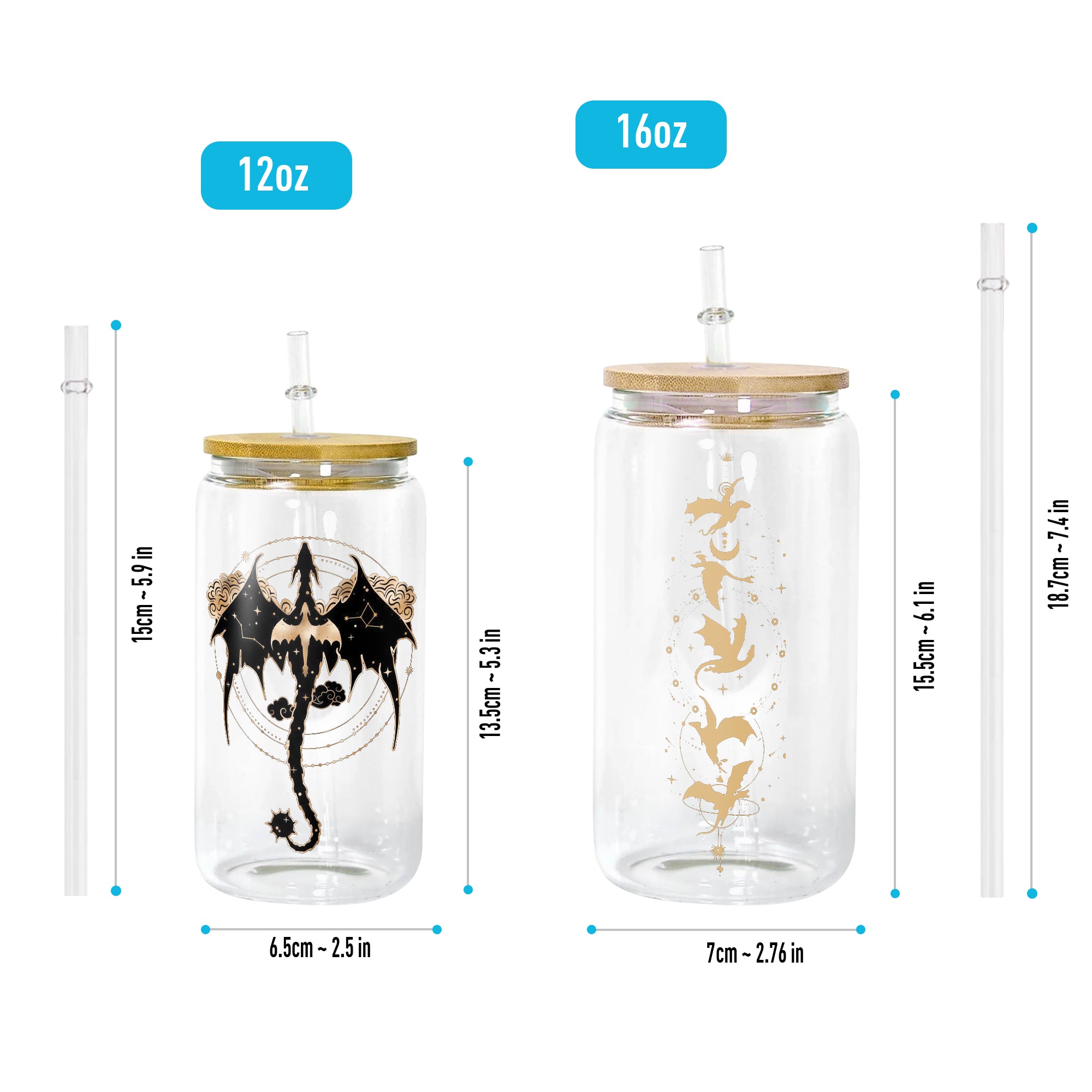 Fourth Wing Dragon Glass Can Cup with Straw, Empyrean Fantasy Tumbler, Bookish Gift for Readers & Dragon Lovers GLVLR45