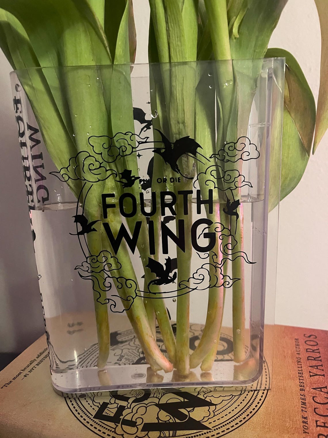 Fly or Die Acrylic Book Vase, Fourth Wing Acrylic Flower Vase, Basgiath War College Book Lover Gift, Gifts For Book Lover, VLRBV06