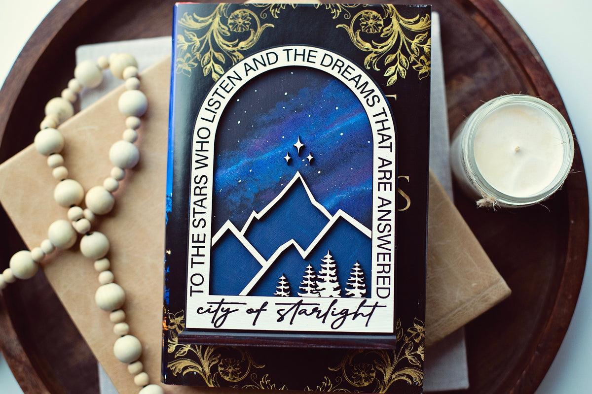 City of Starlight Sign, ACOTAR, Spicy Booktok Sign, Booktok sign, smut reader, Booktok merch, ACOTAR Sign, Bookshelf Decor, Bookshelf Sign