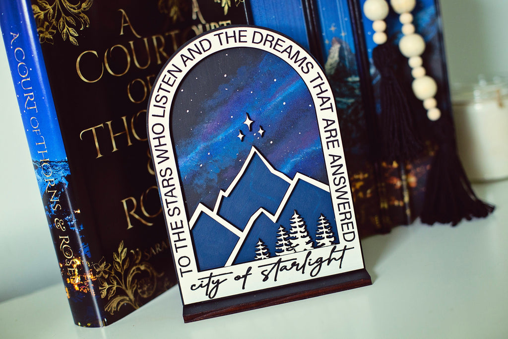 City of Starlight Sign, ACOTAR, Spicy Booktok Sign, Booktok sign, smut reader, Booktok merch, ACOTAR Sign, Bookshelf Decor, Bookshelf Sign