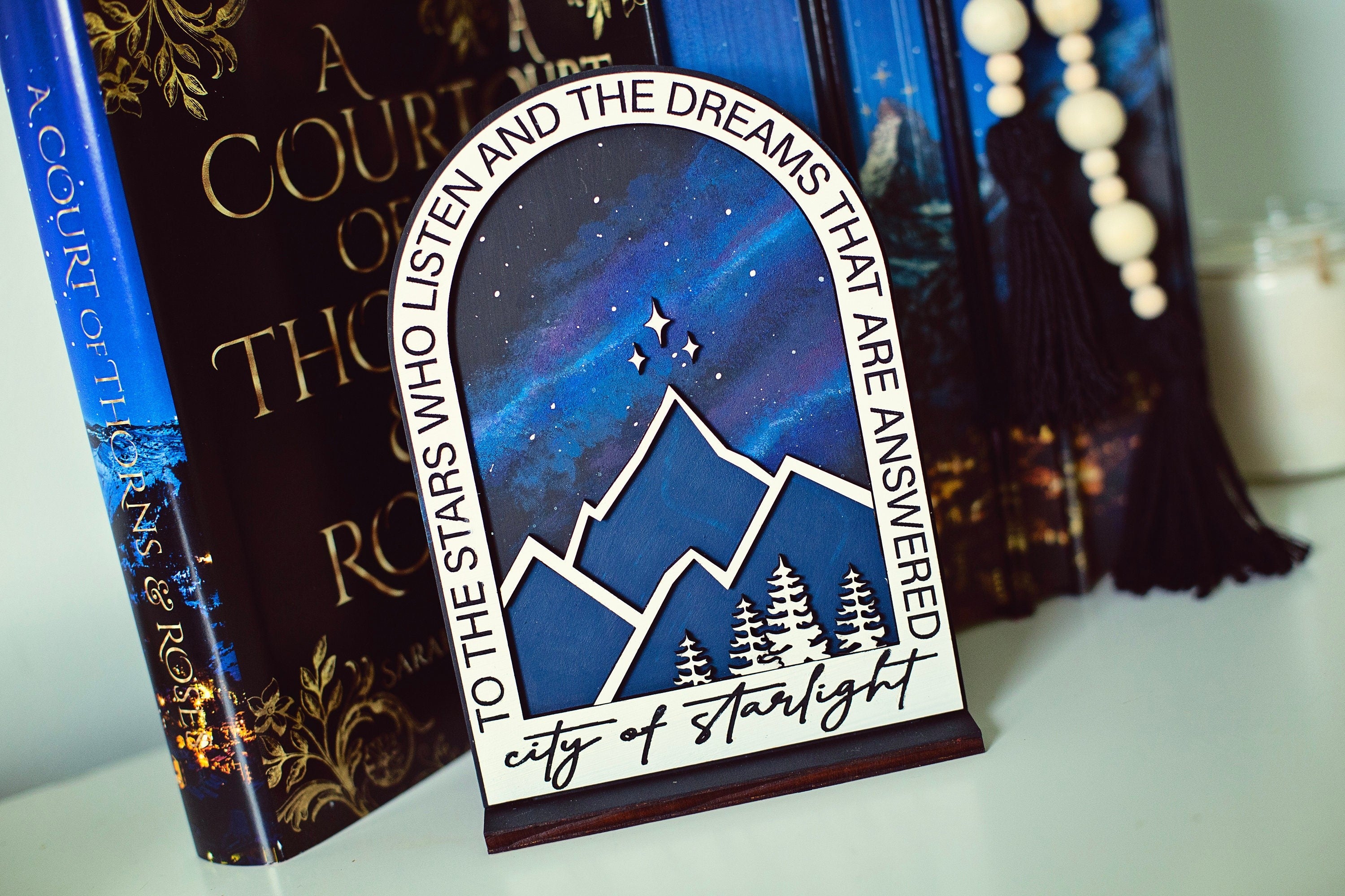 City of Starlight Sign, ACOTAR, Spicy Booktok Sign, Booktok sign, smut reader, Booktok merch, ACOTAR Sign, Bookshelf Decor, Bookshelf Sign