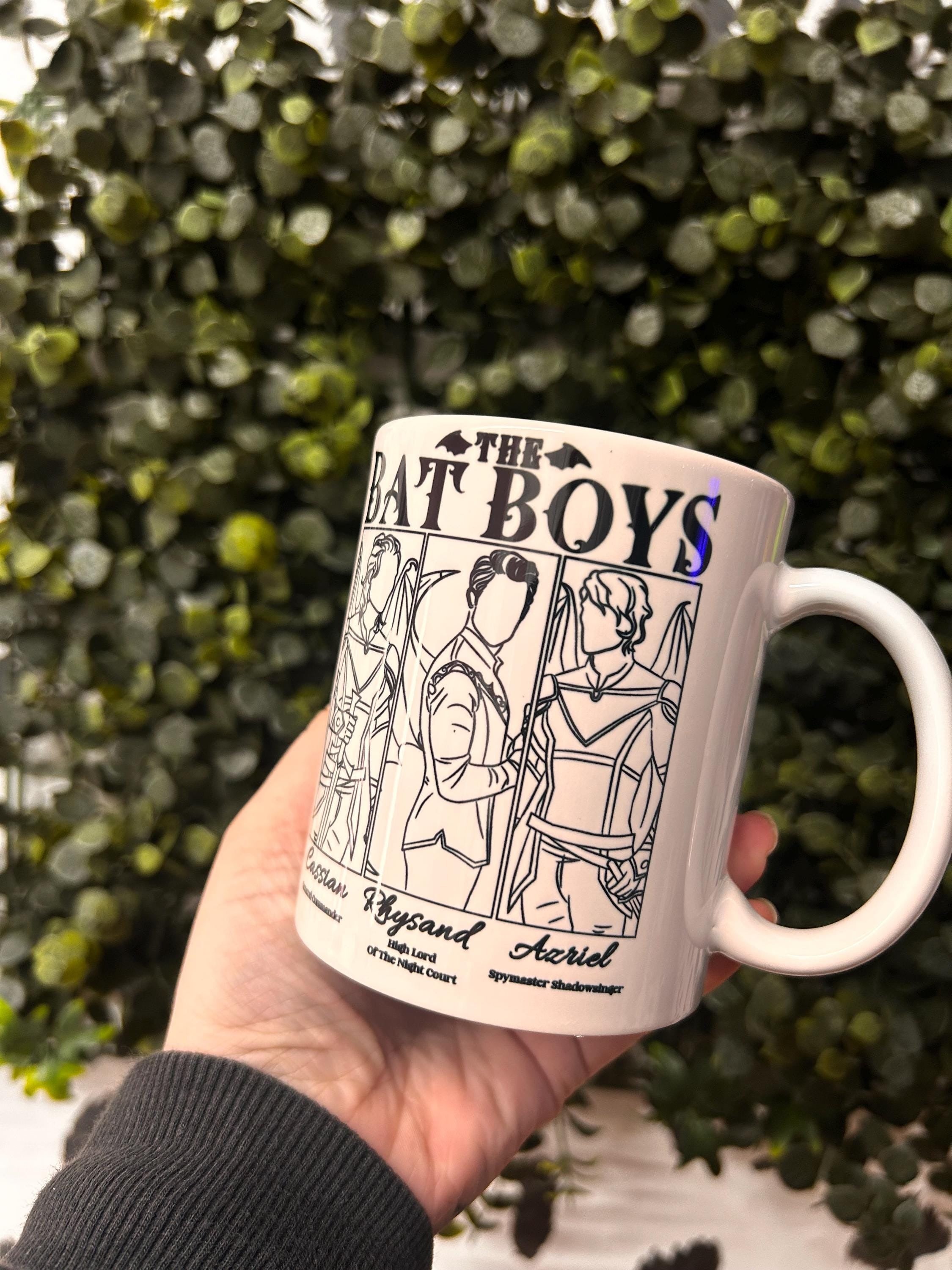 The Bat Boys Mug, ACOTAR Rhysand Azriel Cassian Cup, Night Court Bookish Gift, Sarah J Maas Mug for Fantasy Readers MGVLR54